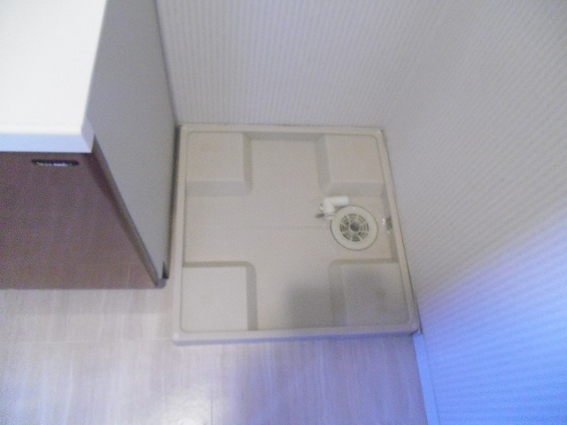 Other. Washing machine in the room