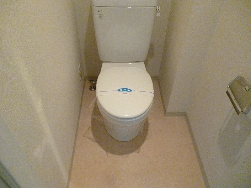 Other room space. Toilet