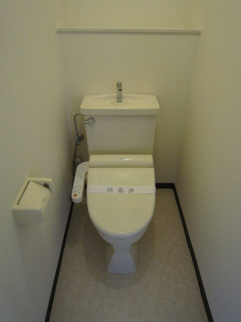 Toilet. Happy is with a bidet. 