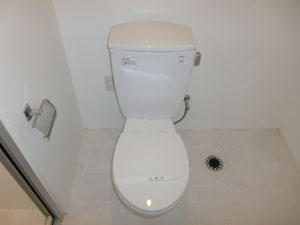 Toilet