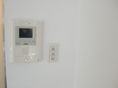 Security. Intercom with TV monitor