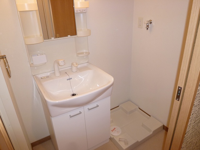 Washroom. Shampoo dresser with vanity and Laundry Area