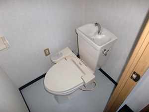 Toilet