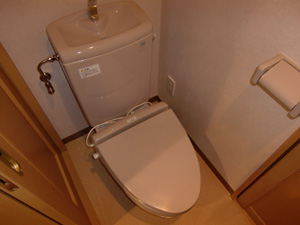 Toilet