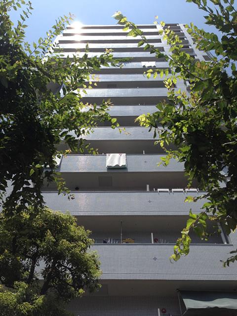 Local appearance photo. This appearance.