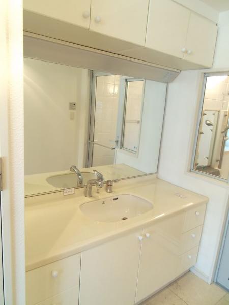 Other introspection. Wide vanity