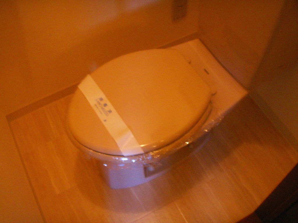 Toilet