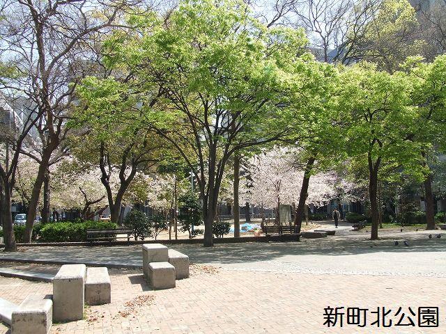park. 80m to Shinmachikita park