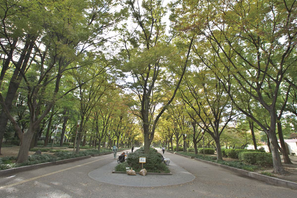 Surrounding environment. Utsubo Park (a 3-minute walk ・ About 180m)