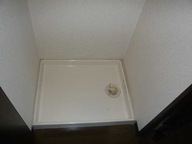 Washroom. Indoor Laundry Storage