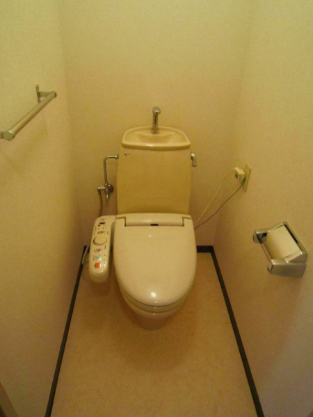 Toilet