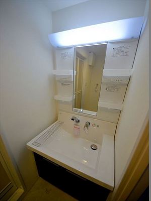 Washroom. Wash basin Shampoo dresser
