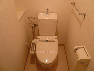 Toilet. With warm water washing toilet seat