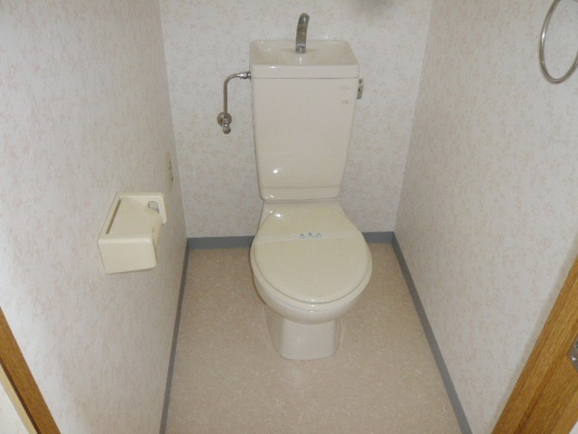 Toilet. Spacious and has