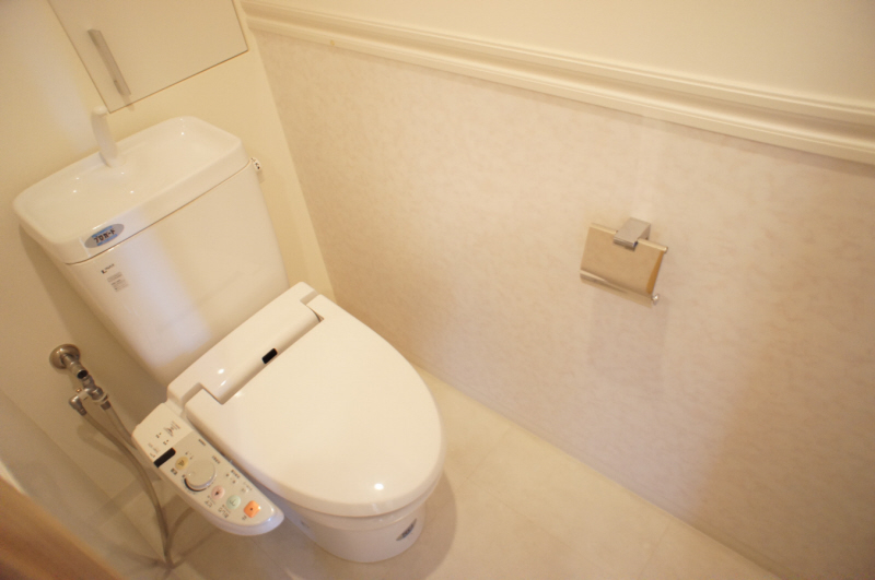 Toilet. Washlet toilet