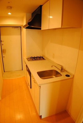 Kitchen. Two-burner gas system K  ※ With dishwasher