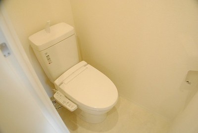 Toilet. Warm water washing heating toilet seat