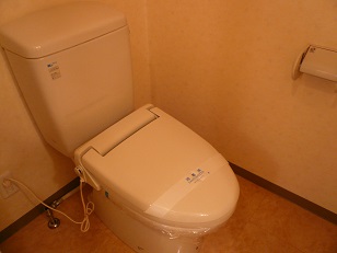 Toilet. With Washlet