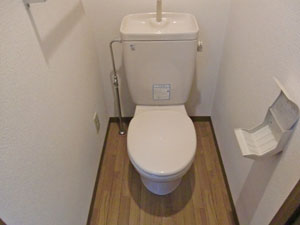 Toilet