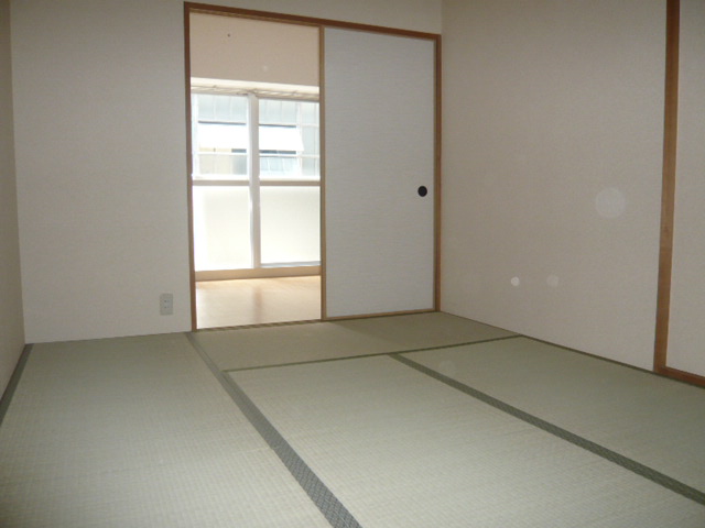 Other room space. Beautiful Japanese-style room