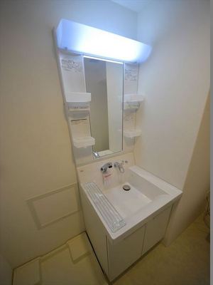 Washroom. Wash basin Shampoo dresser