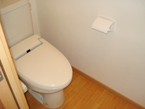 Toilet