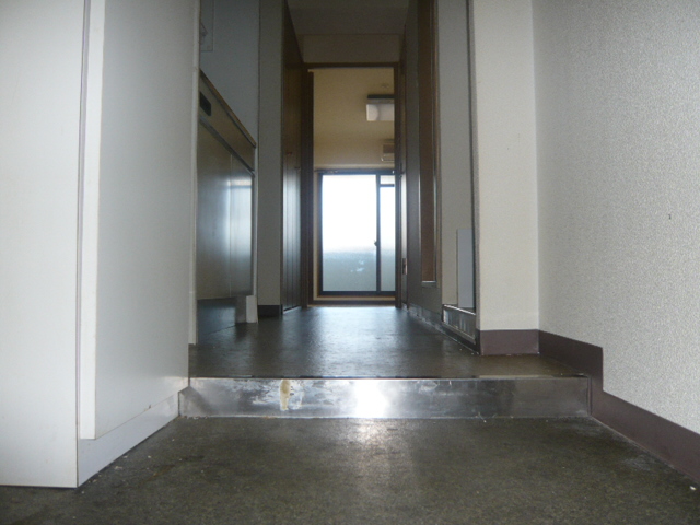 Entrance. Corridor