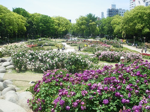 park. 150m to Utsubo Park (Park)