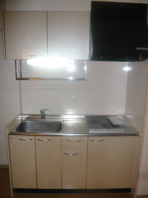 Kitchen. System kitchen