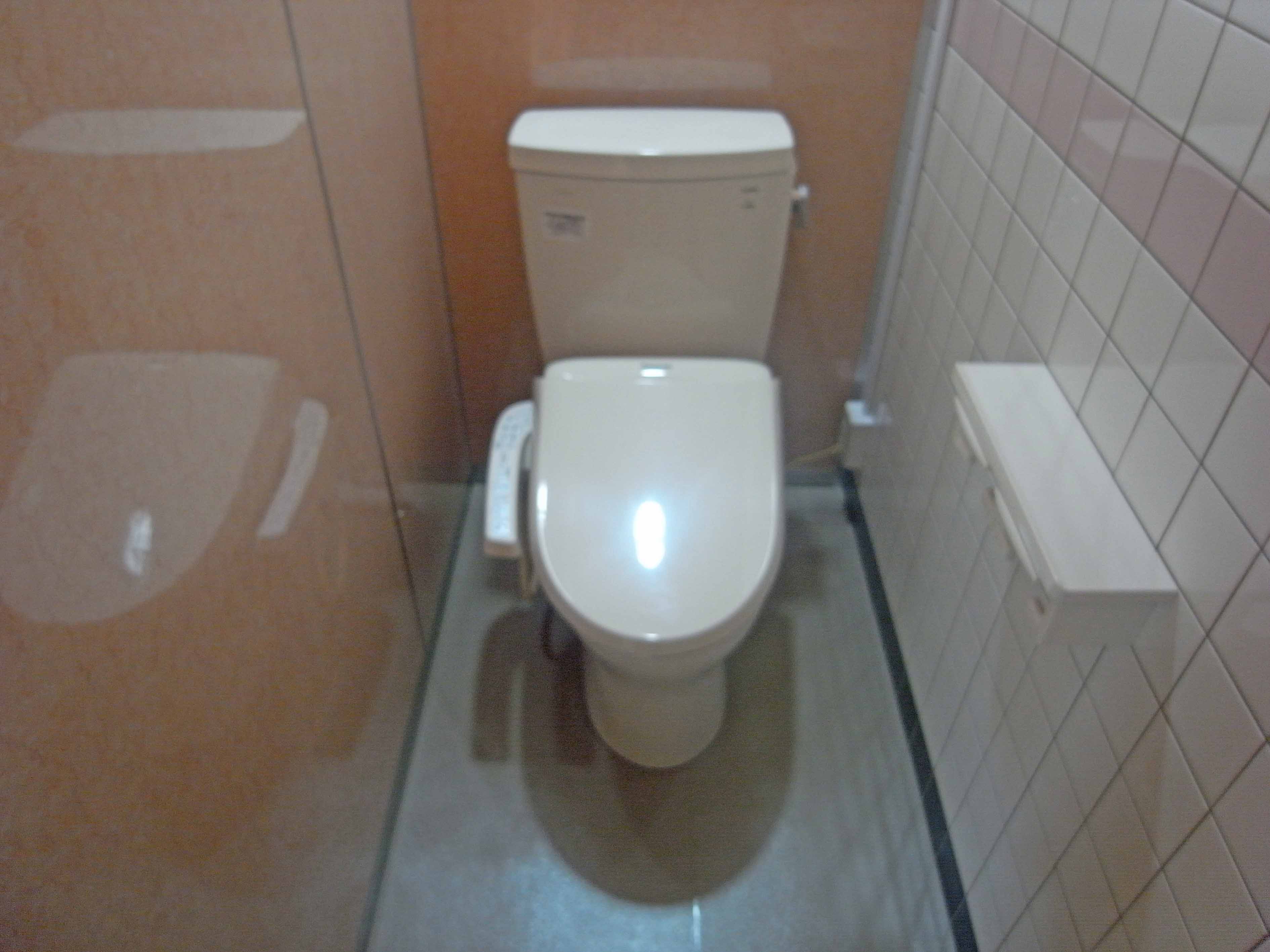 Toilet