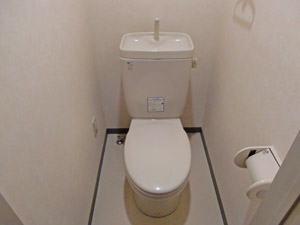 Toilet