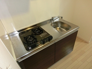 Kitchen. Is a two-burner gas stove where the width of the cooking spread ☆