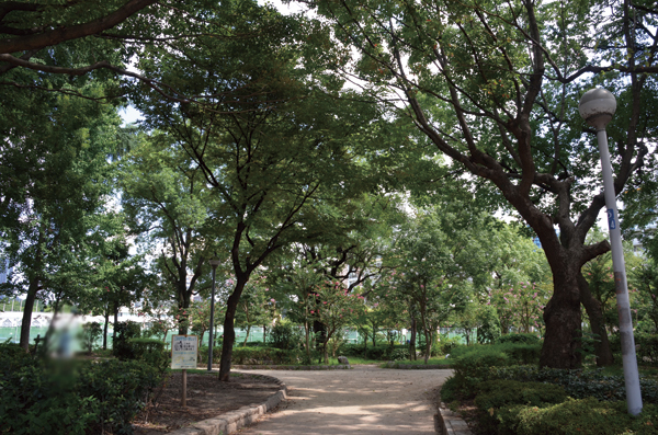 Surrounding environment. Rose of perpetual continues to bloom, Famous toughness park in the Rose Garden. Full of flowers and greenery, Zelkova trees, etc., Oasis of downtown, It is widely used as a sports field (toughness park / Walk 19 minutes ・ About 1500m)