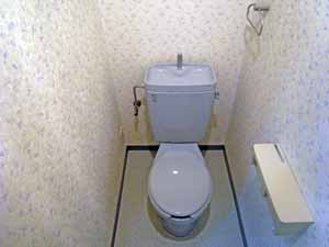 Toilet