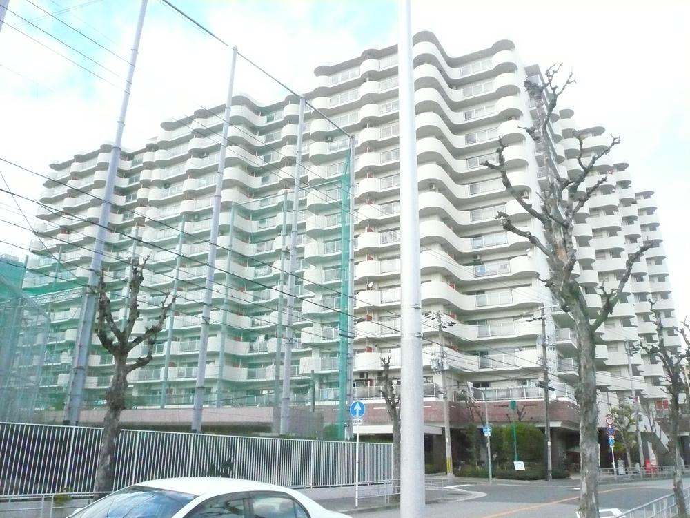 Local appearance photo. Local (December 2013 shooting)