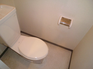 Toilet