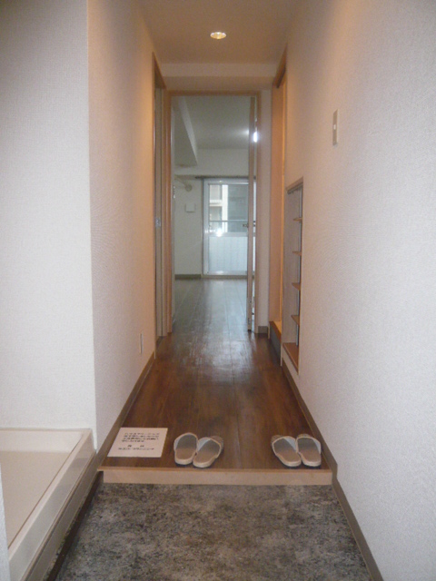 Entrance. Corridor