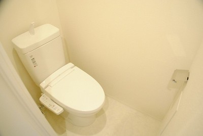 Toilet. Warm water washing heating toilet seat