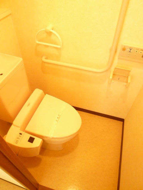 Toilet. Bidet