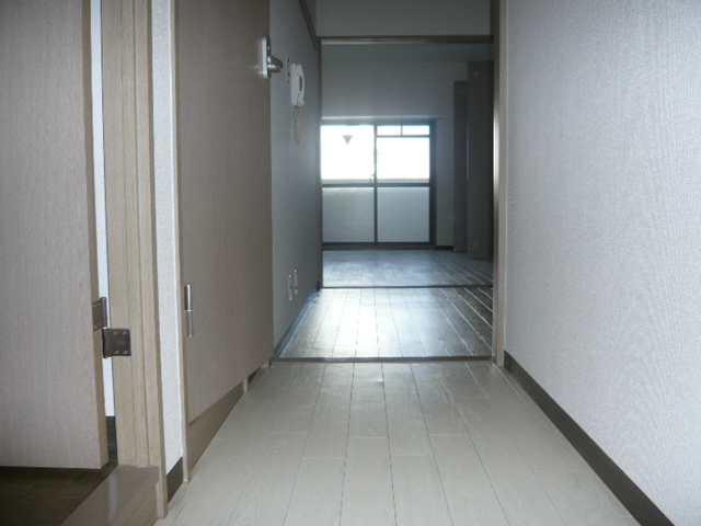 Entrance. Corridor