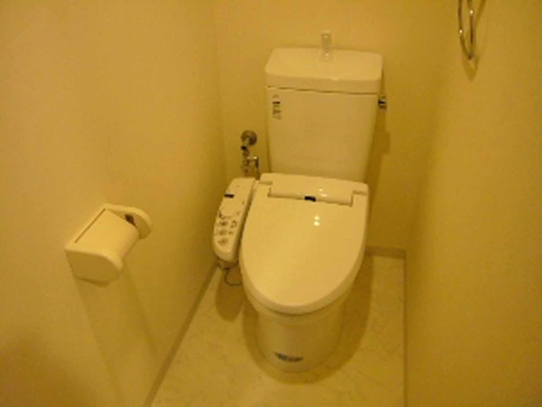 Toilet