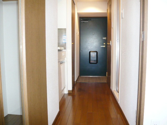 Entrance. Corridor