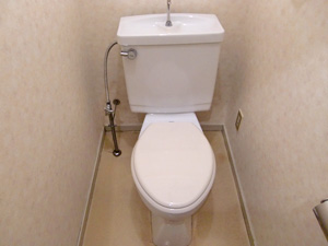 Toilet