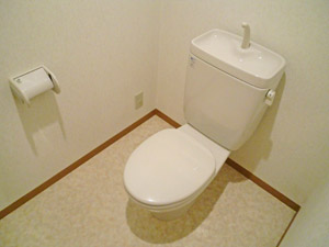 Toilet