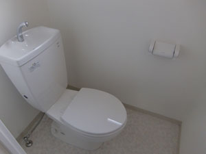 Toilet