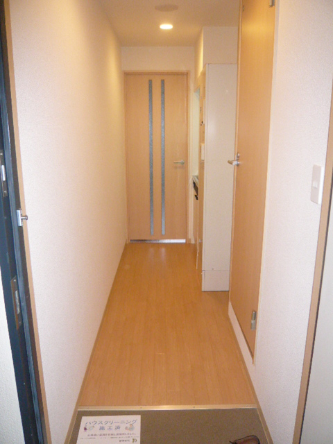 Entrance. Corridor