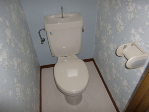 Toilet