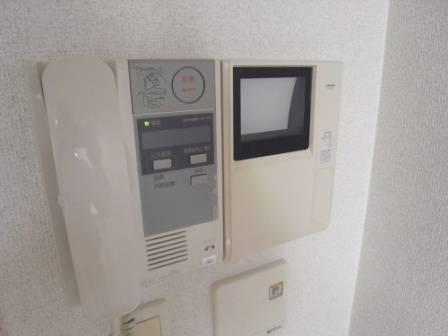 Security. Intercom with TV monitor