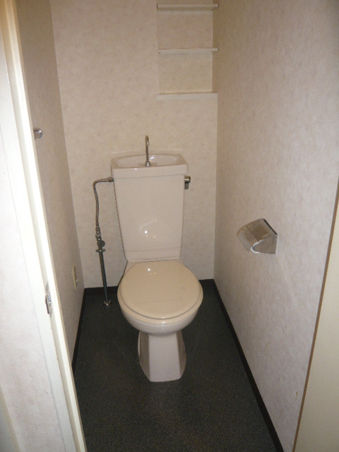 Toilet. Glad Separate. Also it comes with a shelf that can be used