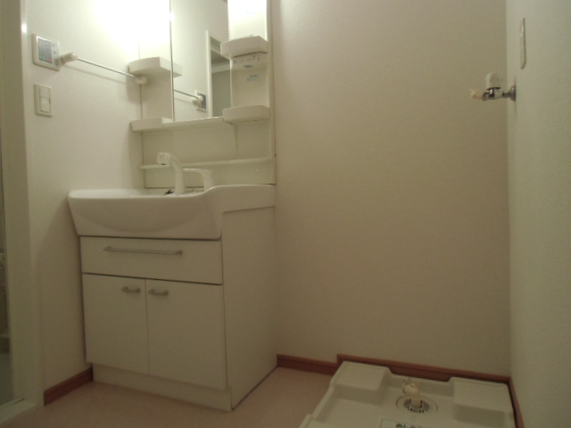 Washroom. Indoor Laundry Storage